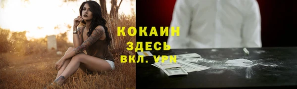 apvp Володарск
