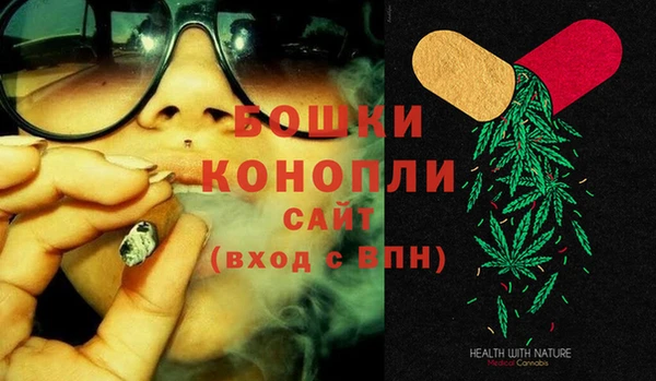мдпв Волоколамск