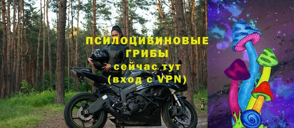 apvp Володарск