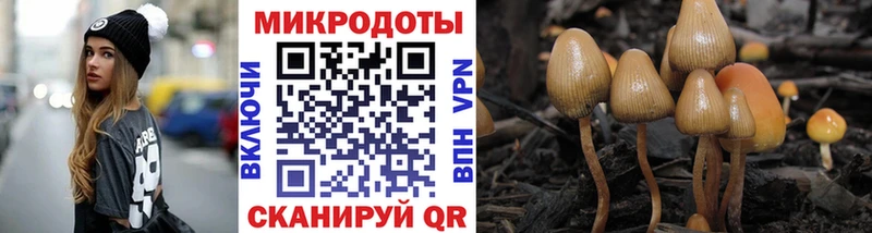 наркота Лихославль Псилоцибиновые грибы Magic Shrooms